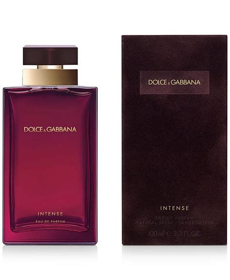 k dolce gabbana macys